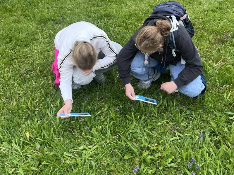 Besuch auf der Streuobstwiese &ndash; Lernen in der Natur