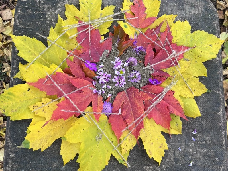 LandArt im Kunstunterricht